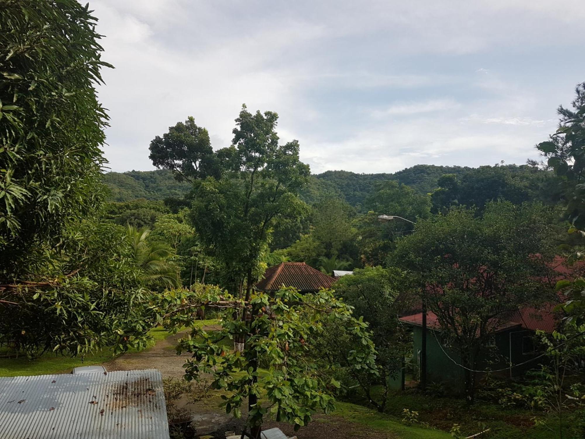 Los Pinos De Torio Kültér fotó